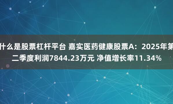 什么是股票杠杆平台 嘉实医药健康股票A：2025年第二季度利润7844.23万元 净值增长率11.34%